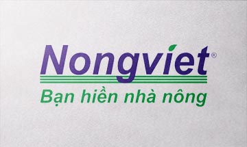 Thiết kế logo công ty Nông Việt