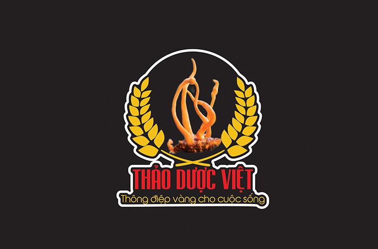 logo-dong-trung-ha-thao